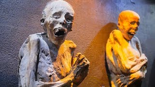 The Mummies of Guanajuato Inside the Museum Cemetery and More [upl. by Rellia]