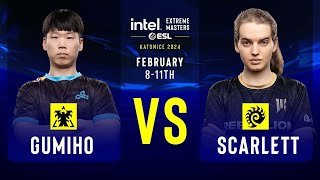 GuMiho vs Scarlett  IEM SC2 Katowice 2024  Group Stage [upl. by Ibrek]