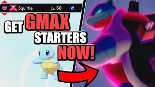 Get ALL the Gigantamax Starters NOW in Pokemon Sword and Shield [upl. by Rolfston]