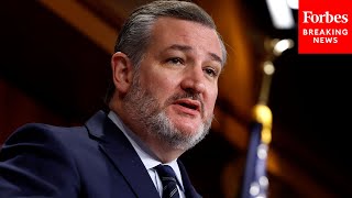 A Steaming Pile Of Crap Ted Cruz Says Bipartisan Border Bill Codifies Joe Bidens Open Borders [upl. by Nerrak]