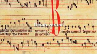 Gregorian chant  Deum verum [upl. by Mal]