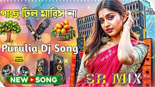 Gache Dhil Maris Na New Purulia Dj  Full Hard Bass Matal Dance Mix  Dj Remix Song 2024 by sr mix [upl. by Byers]