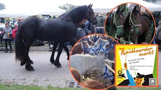 de BEROEMDE paardenmarkt ZUIDLAREN 171023 vlog138 [upl. by Silden]