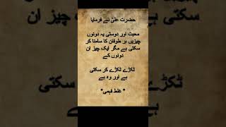 Hazrat Ali quotes viralvideos poetry quotes urdupoetry love sadpoetry explore viralvideo 1k [upl. by Settera]