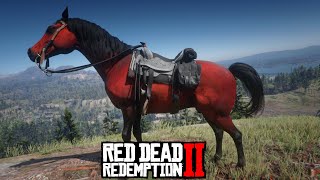 Red Arabian Horse locations  Red Dead Redemption 2 Story mode [upl. by Barbi276]