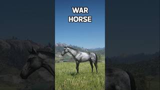 999 Doesnt know this  Best WAR Horse in RDR2 [upl. by Rudolf]