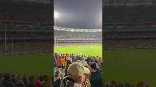 Hawthorn vs Collingwood rd 21  the final siren [upl. by Attenhoj]