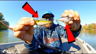 Lipless Crankbait Tricks You Need To Try  Stop Losing Fish [upl. by Tnomel]