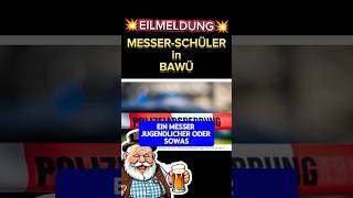 💥EIL💥 MESSER JUGENDLICHER in SCHULE⚡ afd ettenheim ampel badenwuerttemberg cdu spd politik [upl. by Winola116]