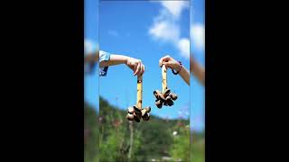 Nutshell hand bells [upl. by Vitoria]