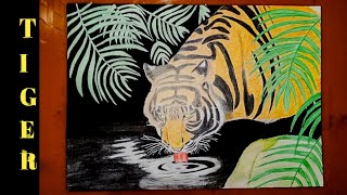 Drawing a Tiger with Color PencilAnasArtStudio [upl. by Anrat]