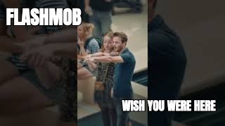 Flash Mob Wish YouTube were here pinkfloyd virslshorts [upl. by Kristy]