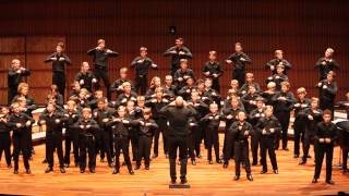 JAMBO Minnesota Boychoir [upl. by Lebisor]