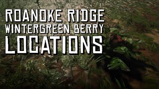 Red Dead Online  Roanoke Ridge Wintergreen Berry Locations [upl. by Jankell]