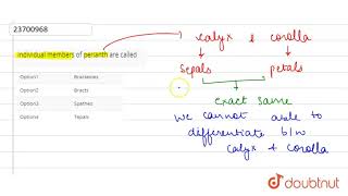 Individual members of perianth are called [upl. by Drue584]