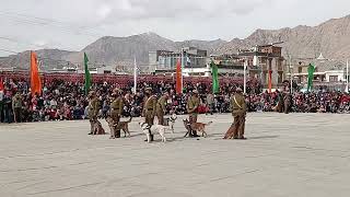 Ladakh Police Dog Squad grabs all attention on 75th Republic Day [upl. by Ruthanne]