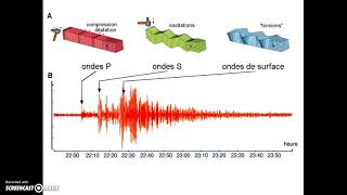 1S 8 Géologie Act2 révisions ondes sismiques [upl. by Berardo]