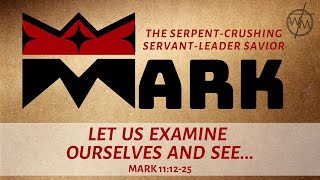 Mark 111225  Let Us Examine Ourselves and See [upl. by Darra]