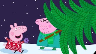 Kerstboom Kopen 🎄 Tekenfilm  Peppa Pig Nederlands Compilatie Nieuwe [upl. by Etyam]