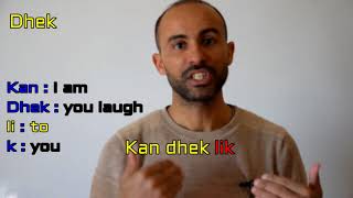 Learn Moroccan Arabic  Expressions used with the verb  laugh [upl. by Nyladnarb636]