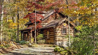 The Cabin at Squirrel Creek [upl. by Bigner695]