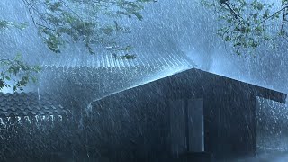 Quality Sleep with Powerful Rainstorm Sounds amp Thunder Shaking on Fragile tin roof in Dark Forest [upl. by Prady289]