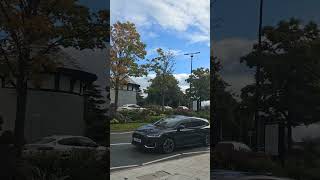 Cheshire oaks shortsvideo [upl. by Zehcnas]