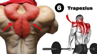 Best Trapezius Muscle Pain Relief Workout [upl. by Harbot]