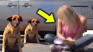 Old Woman Was About To Lose Her Life Then Her Two Giant Dogs Did Something [upl. by Ennovi536]