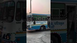 ISBT DELHI automobile harayanaroadways haryanaroadwaysofficial travel haryanaroadways love [upl. by Piselli157]