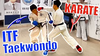 I Fought A Taekwondo Champion｜Karate vs Taekwondo Ep3 [upl. by Niar]