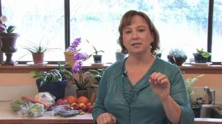 Gardening Flowers amp Vegetables  How to Grow Wintergreen Gaultheria Procumbens [upl. by Belden]