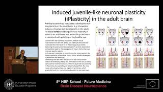 Lesnikova Angelina  Modulation of TrkBmediated neuronal plasticity [upl. by Arreip213]