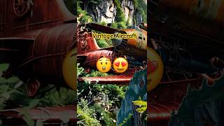 AI Nature Exploration  Travel Adventure  Aircraft  Mountain  Part7 shorts nature ainature [upl. by Bahe]