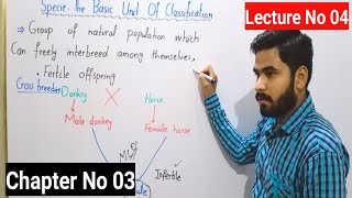 Specie The Basic Unit Of Classification Class 9 In Urdu By Haider  Biodiversity  Ch 03  Lec 04 [upl. by Garrek]