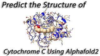 Using Alphafold2 with Chimera X to Predict the Structure of Cytochrome C [upl. by Kirenoj310]