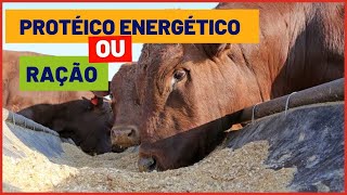 Veja isso antes de escolher PROTEICO ENERGÃ‰TICO ou RAÃ‡ÃƒO PARA GADO [upl. by Namso]