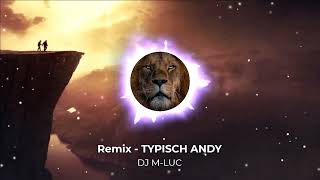 Remix  TYPISCH ANDY DJ MLUC [upl. by Varian]