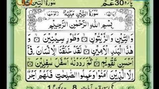 095 Surah Teen [upl. by Yoo]