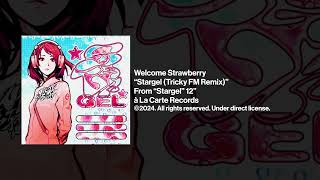 Welcome Strawberry quotStargel Tricky FM Remixquot Official Audio [upl. by Asiat]