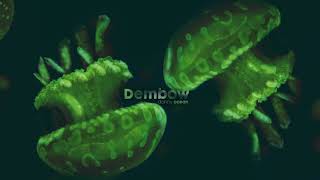 Danny Ocean  Dembow Official Audio [upl. by Orteip42]