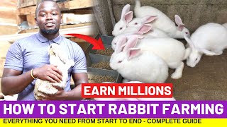 How To Start RABBIT FARMING And Earn Millions In 4 Months  Complete Guide [upl. by Ujawernalo816]