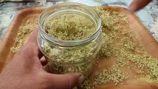 How to dry elderflowers for winter [upl. by Noirred]