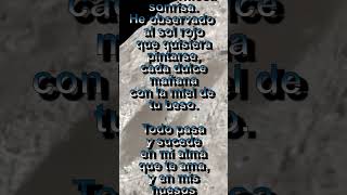 Solo Miro🌹 POEMAS ❤ del Zarampauilo Poético poesia amor poetics [upl. by Scurlock255]