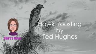 Hawk Roosting by Ted Hughes detailed analysis [upl. by Amoritta899]