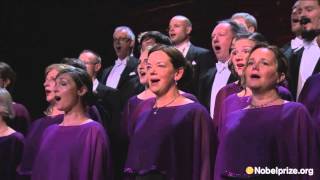 The Gustaf Sjökvist Chamber Choir performs Anthem and Kärlekens Tid at the Nobel Banquet 2015 [upl. by Dar]