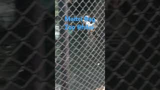 Maitri Bag Zoo song bhilai [upl. by Vitek684]