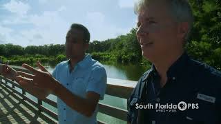 On the Town in The Palm Beaches Wakodahatchee Wetlands [upl. by Kerman]