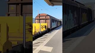 061 Ein kurzer Blick  Güterzugdurchfahrt Bahnhof Kreiensen  Einbeck 4K [upl. by Ehsom]