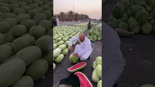 watermelon lyrics music funny reggaeton [upl. by Trillby]